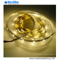 Dual White CCT réglable SMD2835 LED Strip Light